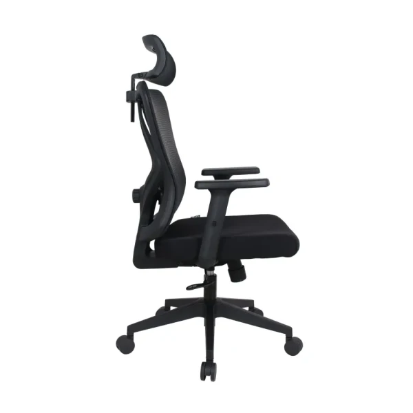 https://www.qolnexvarzi.info/images/products/big/144556.webp