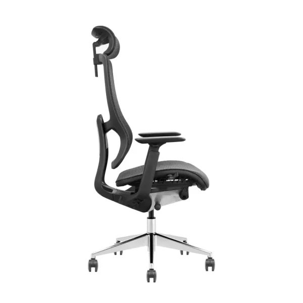 https://www.qolnexvarzi.info/images/products/big/144563.webp