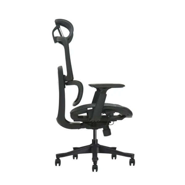 https://www.qolnexvarzi.info/images/products/big/144569.webp