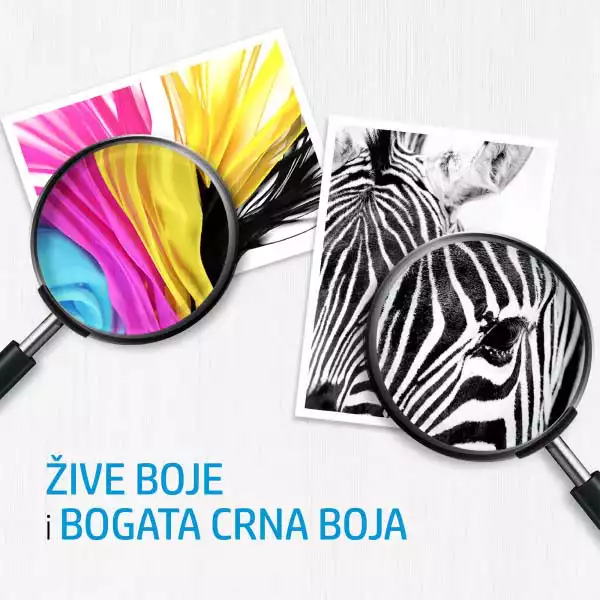 https://www.qolnexvarzi.info/images/products/big/34039.webp