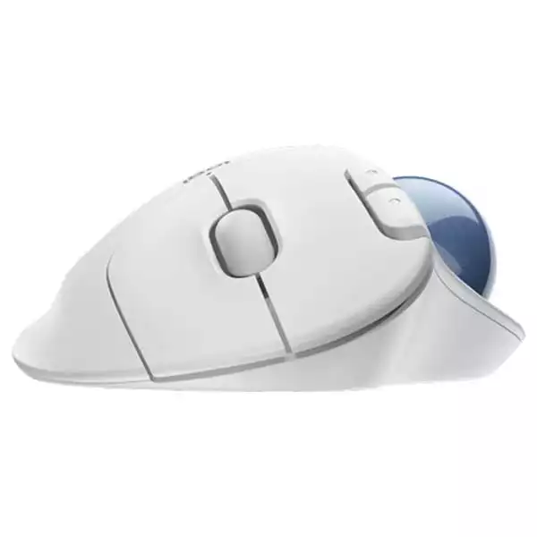 https://www.qolnexvarzi.info/images/products/big/35087.webp