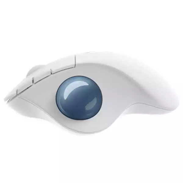 https://www.qolnexvarzi.info/images/products/big/35088.webp