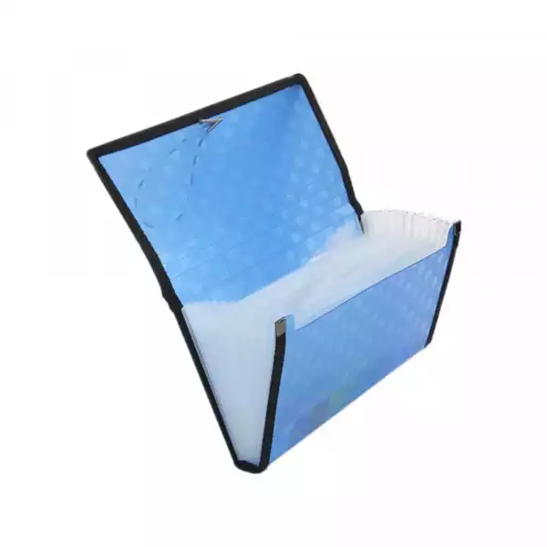 Fascikla B6 OP sa 12 pregrada 11x23 US-4303 ( B446 ) 