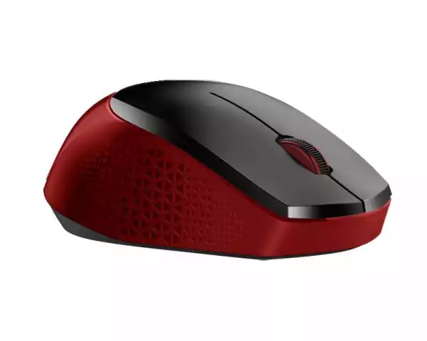 https://www.qolnexvarzi.info/images/products/big/54706.webp