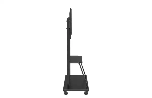https://www.qolnexvarzi.info/images/products/big/55981.webp