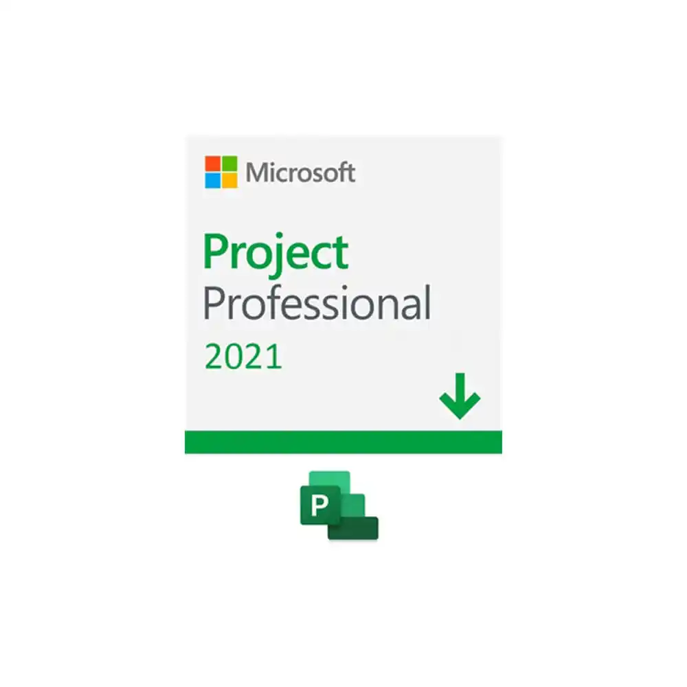 MS PERPETUAL Project Professional 2021
