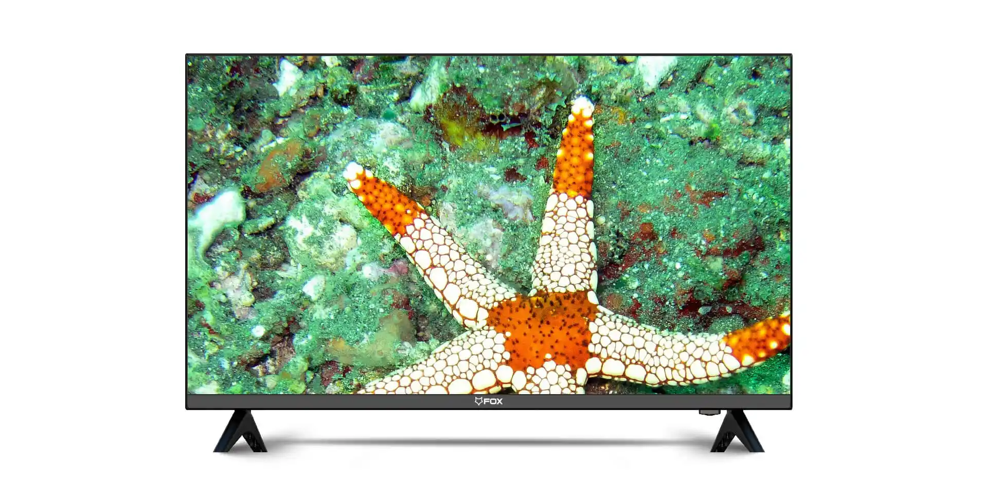 https://www.qolnexvarzi.info/images/products/big/61209.webp