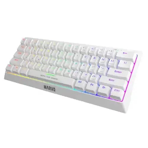 https://www.qolnexvarzi.info/images/products/big/61685.webp