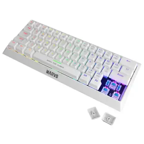 https://www.qolnexvarzi.info/images/products/big/61686.webp