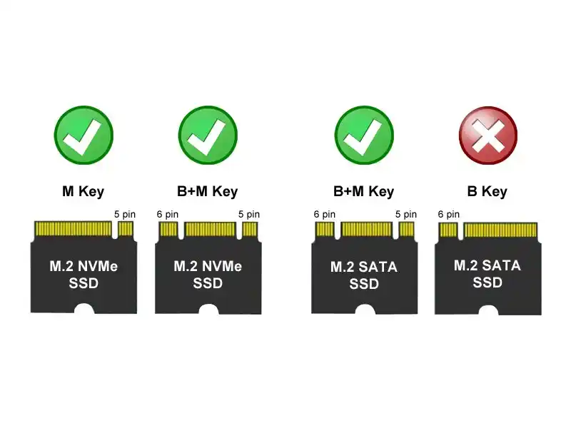 https://www.qolnexvarzi.info/images/products/big/62028.webp