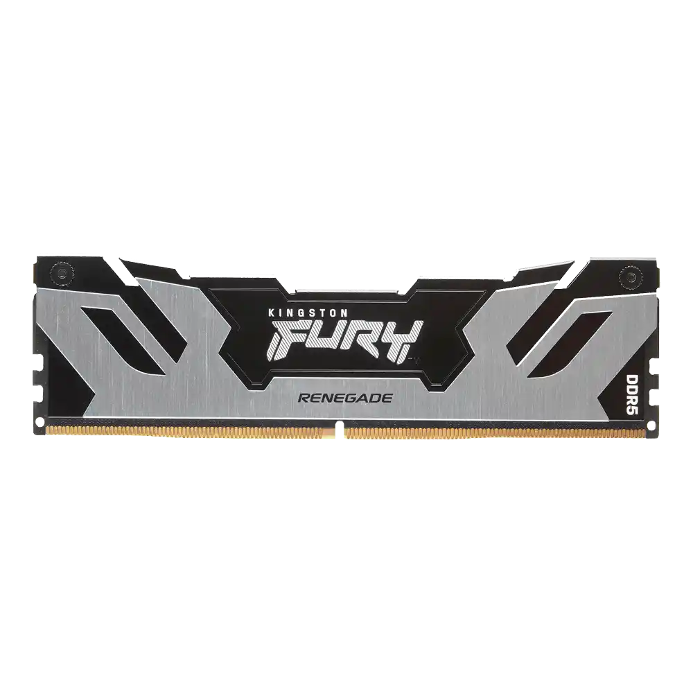 Memorija DDR5 16GB 6400MHz Kingston Fury Renegade  KF564C32RS-16