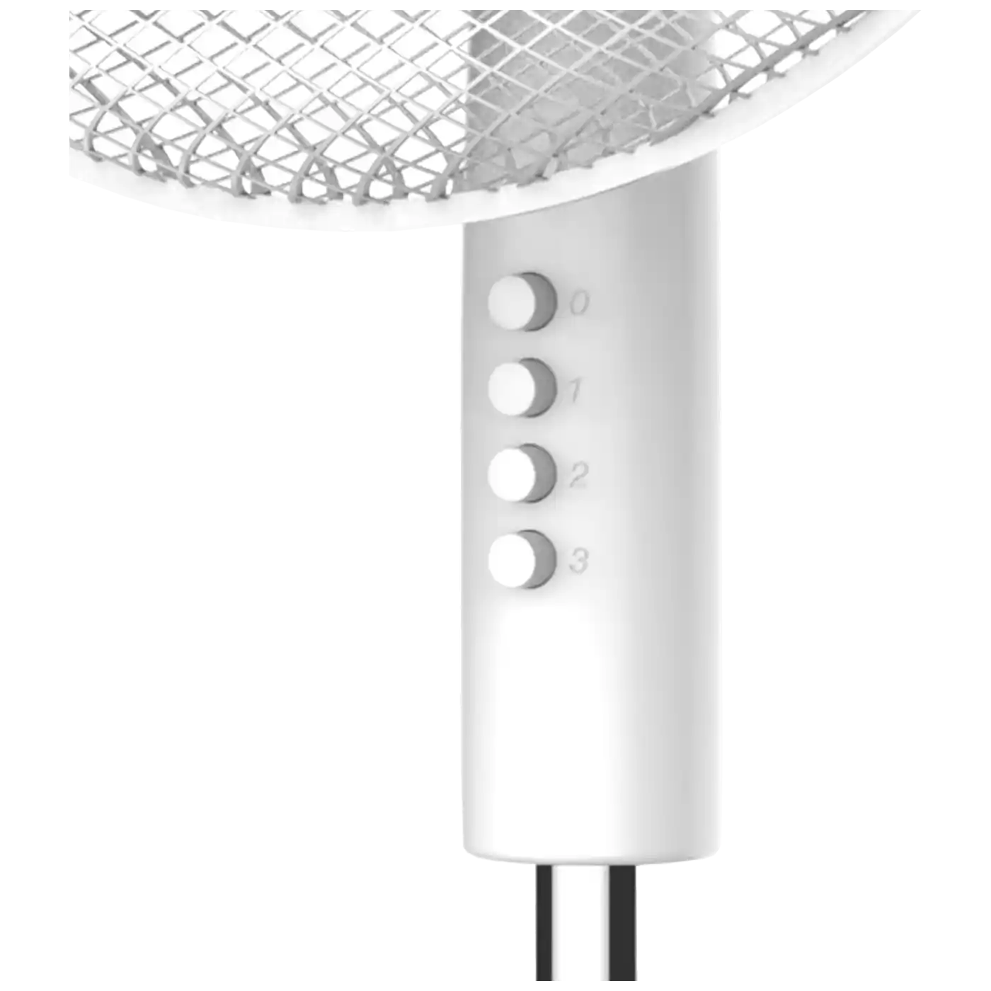 https://www.qolnexvarzi.info/images/products/big/85671.webp