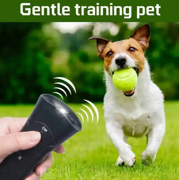 https://www.qolnexvarzi.info/images/products/big/91769.webp