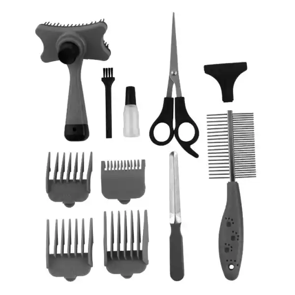 https://www.qolnexvarzi.info/images/products/big/93773.webp