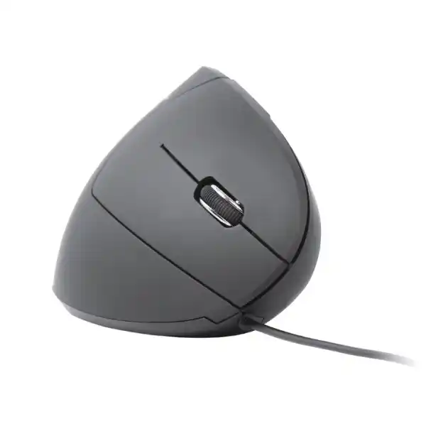 https://www.qolnexvarzi.info/images/products/big/93840.webp