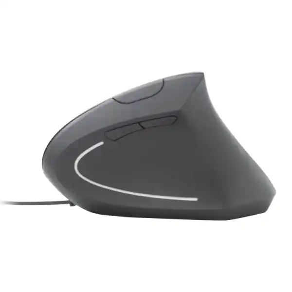 https://www.qolnexvarzi.info/images/products/big/93841.webp