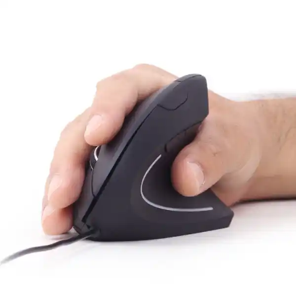 https://www.qolnexvarzi.info/images/products/big/93842.webp