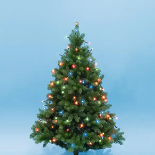 https://www.qolnexvarzi.info/images/products/big/94268.webp
