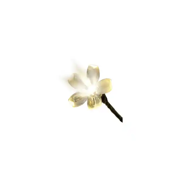 https://www.qolnexvarzi.info/images/products/big/94757.webp