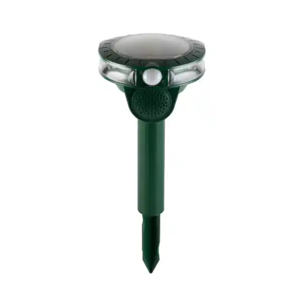 https://www.qolnexvarzi.info/images/products/big/96050.webp