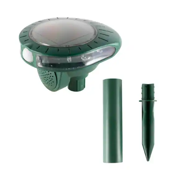 https://www.qolnexvarzi.info/images/products/big/96051.webp
