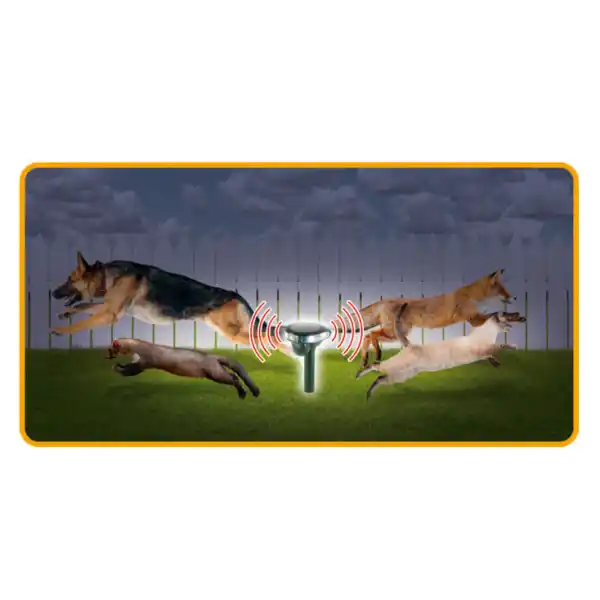 https://www.qolnexvarzi.info/images/products/big/96052.webp